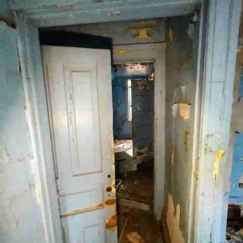 8031 conger (47).jpg